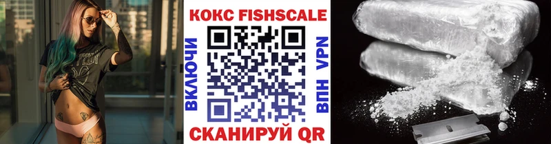 OMG ссылка  Элиста  COCAIN Fish Scale  цена наркотик 