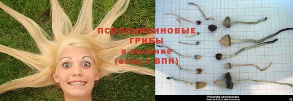 марихуана Переславль-Залесский