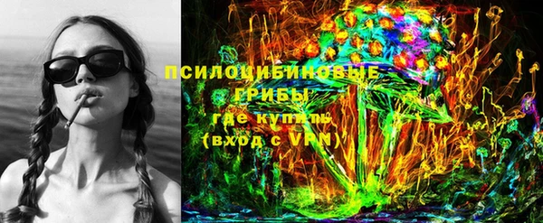 ешки Абинск