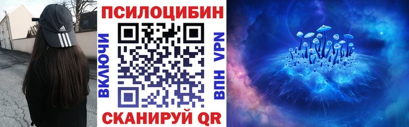 Псилоцибиновые грибы мицелий  наркота  Элиста 