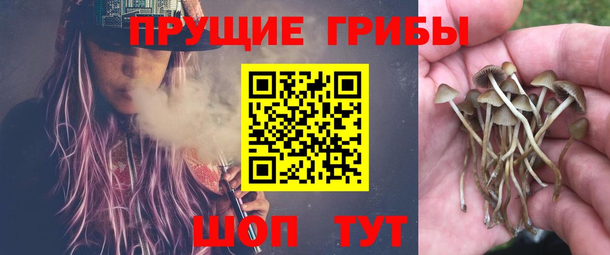 Галлюциногенные грибы мухоморы  Вход с VPN  Элиста 